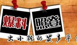 重庆今日爆料新闻最新,考古专家揭秘千年之谜