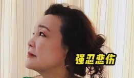 孟贺爆料视频最新消息在线观看,揭秘事件真相，在线观看不容错过