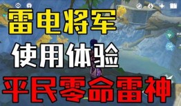 雷电将军爆料解析最新,探寻神秘力量的起源与奥秘