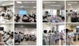 医科大学爆料事件最新进展,最新进展揭示惊人内幕