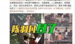 阿伟爆料消息视频大全最新,揭秘娱乐圈最新热点事件